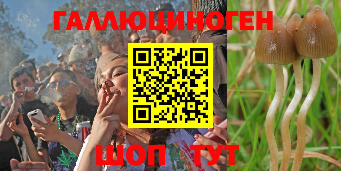 Галлюциногенные грибы Magic Shrooms Благовещенск