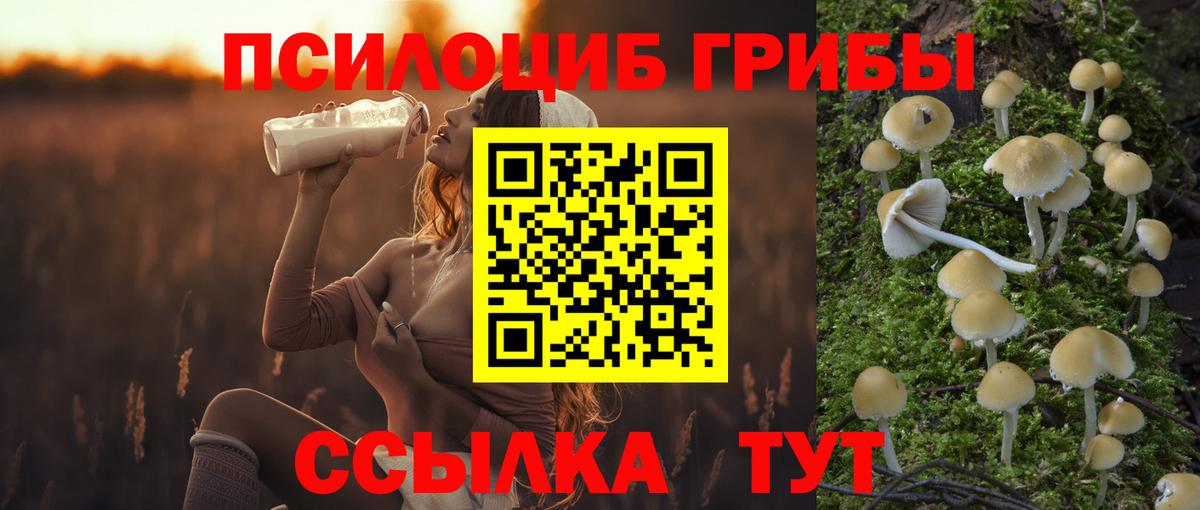 Галлюциногенные грибы MAGIC MUSHROOMS  Благовещенск 